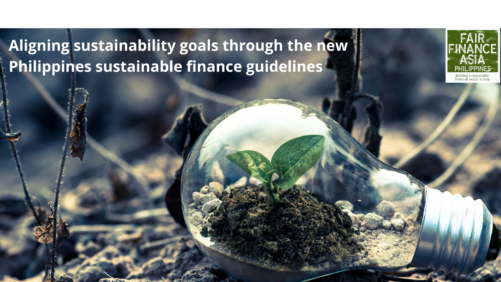 Aligning sustainability goals through the new Philippines sustainable finance guiding principles