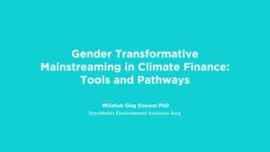 FFA Releases New Training Modules on Gender Equality, Disability, and Social Inclusion, Green and Climate Finance, Digital Rights, Sustainable Finance Campaigning, and Net-Zero Finance